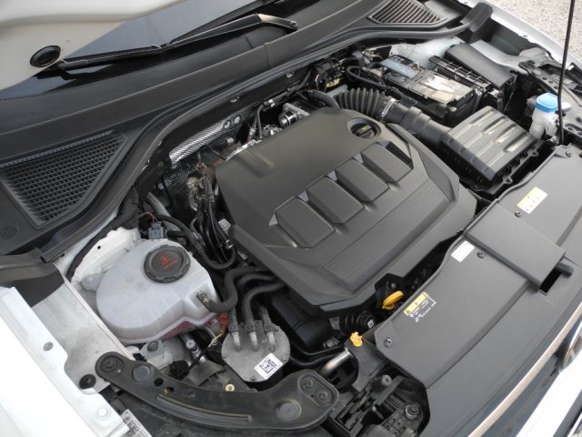 VOLKSWAGEN T-Roc usata 74