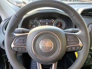 JEEP Renegade usata, con Boardcomputer