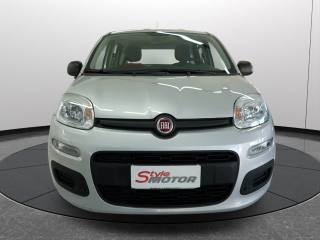 FIAT Panda usata 17