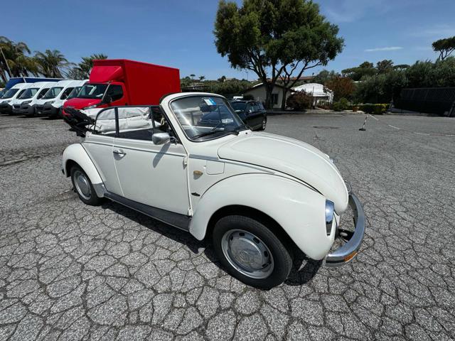 VOLKSWAGEN Maggiolone usata 14
