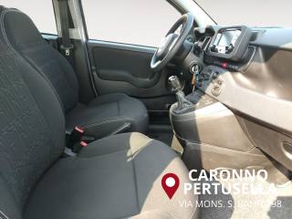 FIAT Panda usata 15