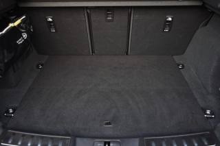 LAND ROVER Range Rover Evoque usata, con Cruise Control