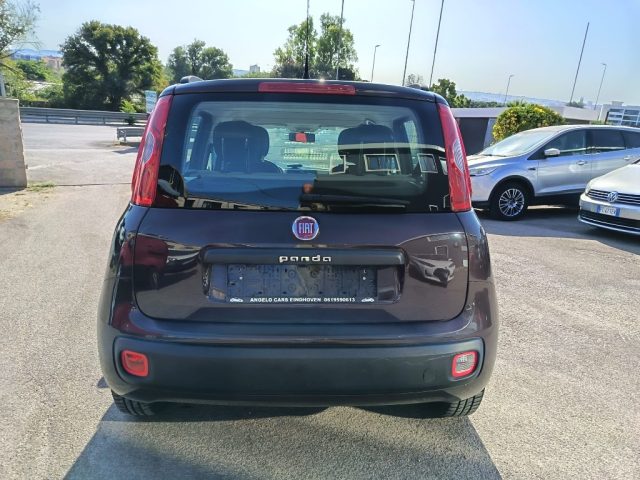 FIAT Panda usata 5