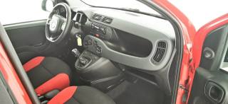 FIAT Panda usata 32
