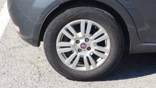 FIAT Punto usata, con Volante multifunzione