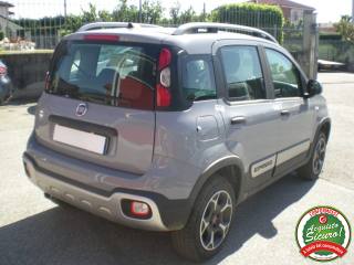 FIAT Panda Cross usata, con Climatizzatore