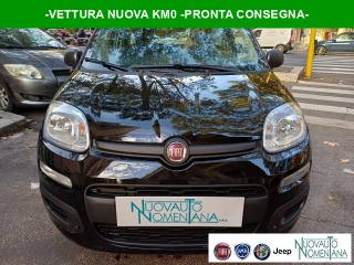 FIAT Panda Pandina 1.0 FireFly S&S Hybrid Pop Km0