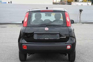 FIAT Panda usata, con Antifurto