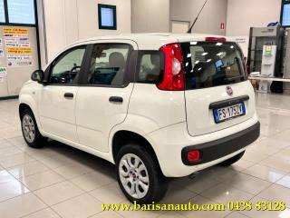 FIAT Panda usata, con Alzacristalli elettrici