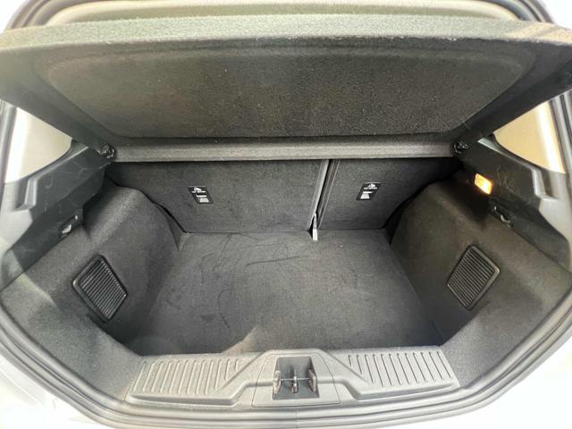 FORD Fiesta usata, con Controllo elettronico della corsia