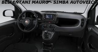 FIAT Panda usata, con Antifurto