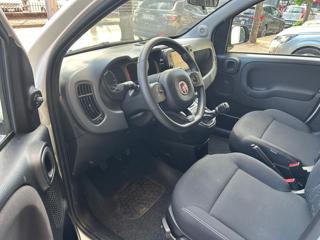 FIAT Panda Cross usata 5