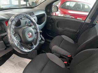FIAT Panda usata, con Antifurto