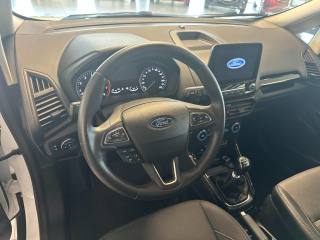 FORD EcoSport usata, con Cronologia tagliandi