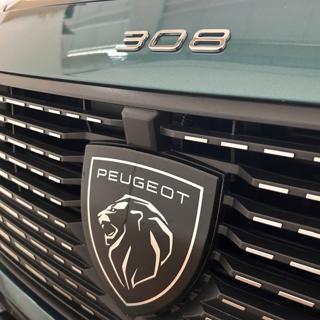 PEUGEOT 308 usata, con Specchietti laterali elettrici