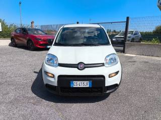 FIAT Panda usata 1