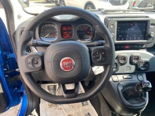 FIAT Panda Cross usata, con Specchietti laterali elettrici