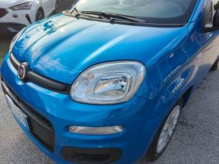 FIAT Panda usata, con Servosterzo