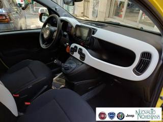 FIAT Panda usata, con Sensore di pioggia