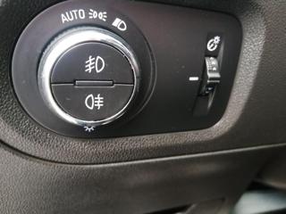 OPEL Grandland X usata, con ESP
