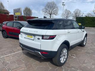 LAND ROVER Range Rover Evoque usata, con Alzacristalli elettrici