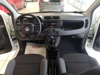 FIAT Panda usata, con ESP
