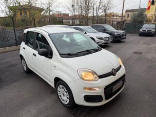 FIAT Panda usata, con Airbag Passeggero