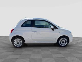 FIAT 500 usata 5