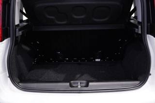 FIAT New Panda usata 25