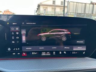 AUDI Q5 usata, con Fendinebbia