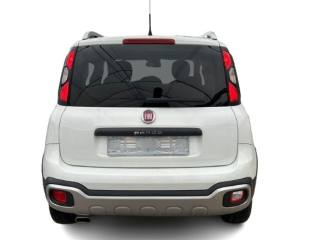 FIAT Panda Cross usata, con Alzacristalli elettrici