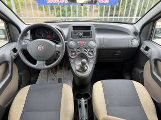 FIAT Panda usata 20