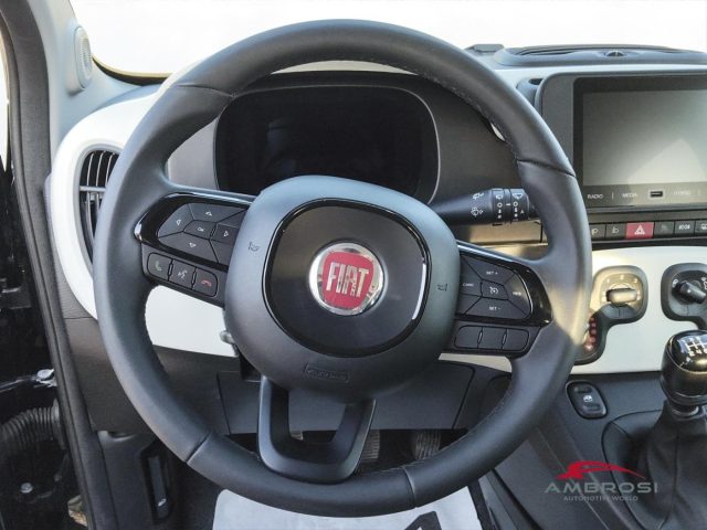 FIAT Panda usata 13