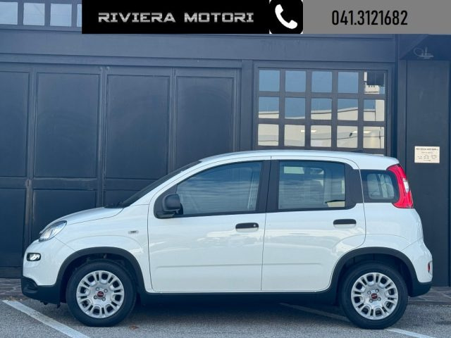 FIAT Panda usata, con Airbag Passeggero