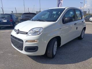 FIAT Panda usata, con Airbag Passeggero