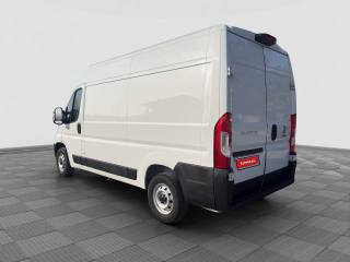 FIAT Ducato usata 2