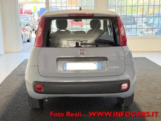 FIAT Panda usata 15