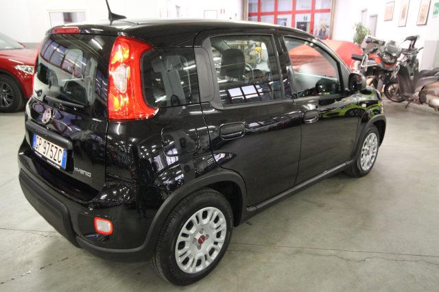 FIAT Panda usata, con Antifurto