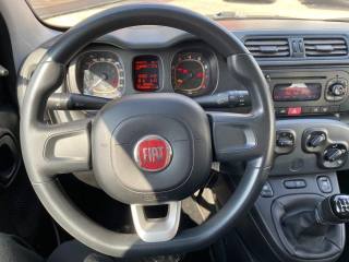 FIAT Panda usata, con Servosterzo
