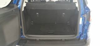 FORD EcoSport usata, con Servosterzo