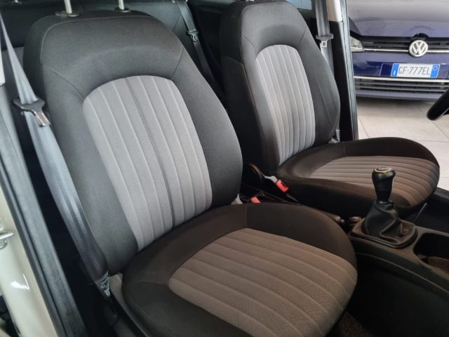 FIAT Punto usata 13