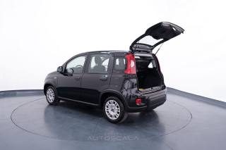 FIAT New Panda usata 28
