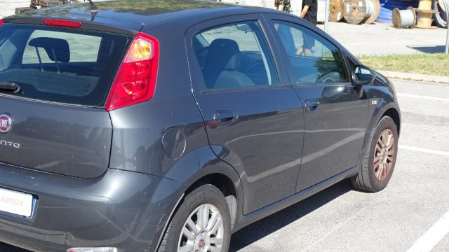 FIAT Punto usata 36