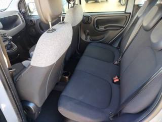 FIAT Panda usata, con Servosterzo