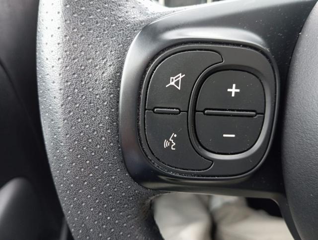 ABARTH 595 usata, con Tetto panorama