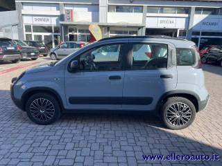 FIAT Panda Cross usata, con Controllo trazione