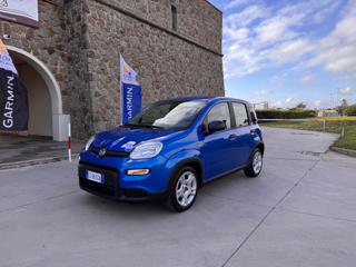 FIAT Panda usata 45