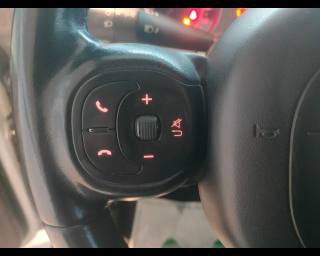 FIAT New Panda usata, con Fendinebbia