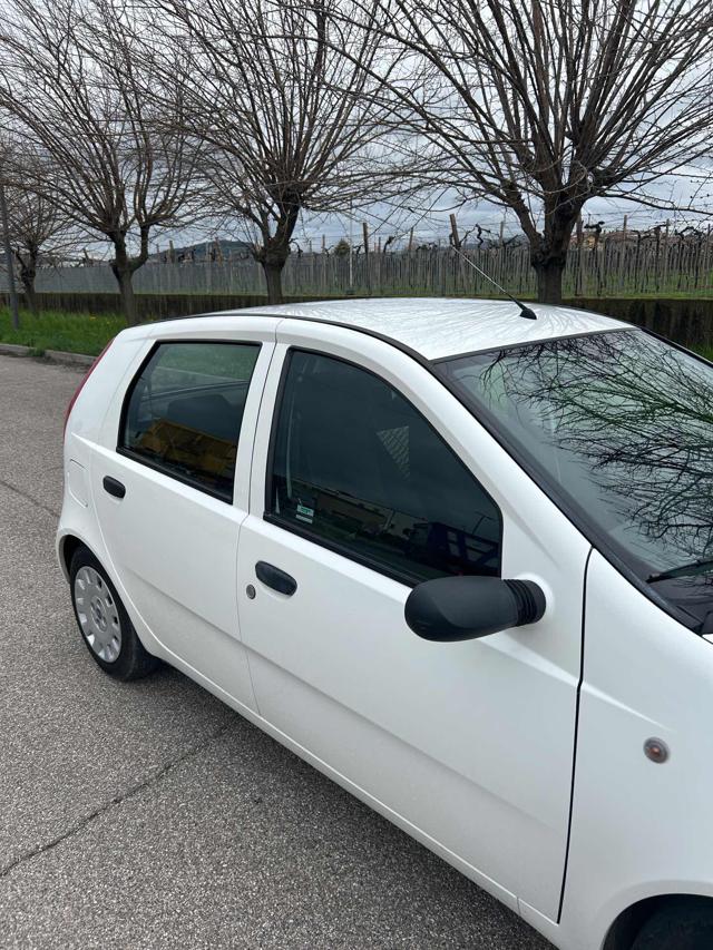 FIAT Punto usata 7