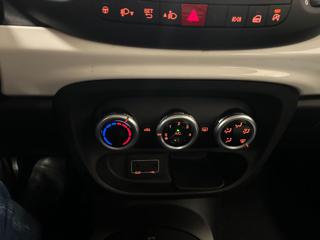 FIAT 500L usata 19